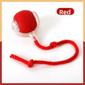 Interactive Pet Play Ball