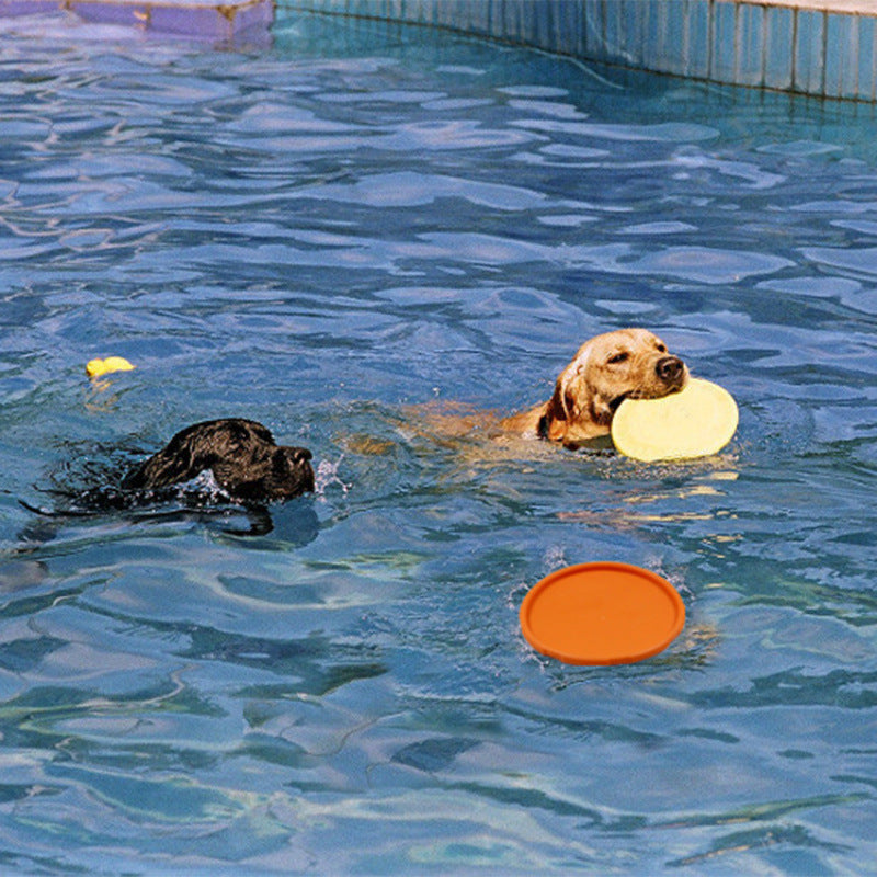 Pet Chew Frisbee