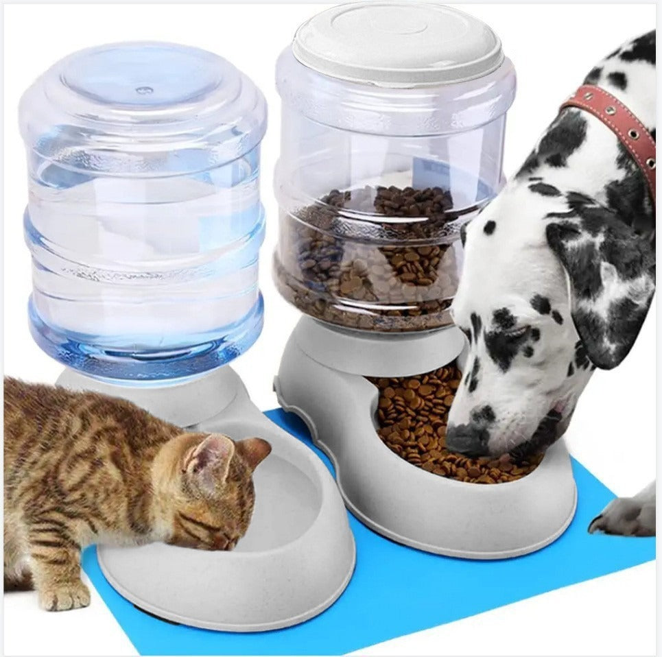 Pet Feeder and Water Dispenser