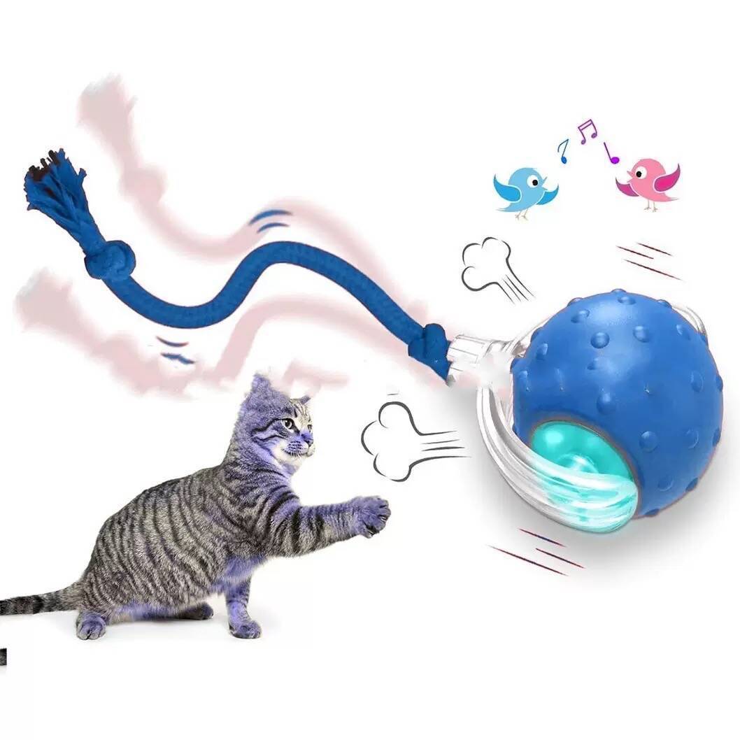 Interactive Pet Play Ball