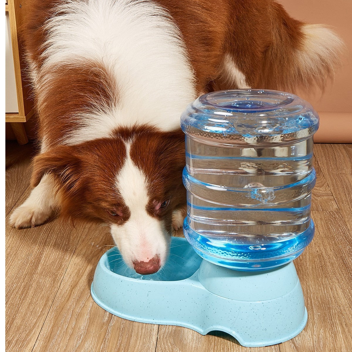 Pet Feeder and Water Dispenser