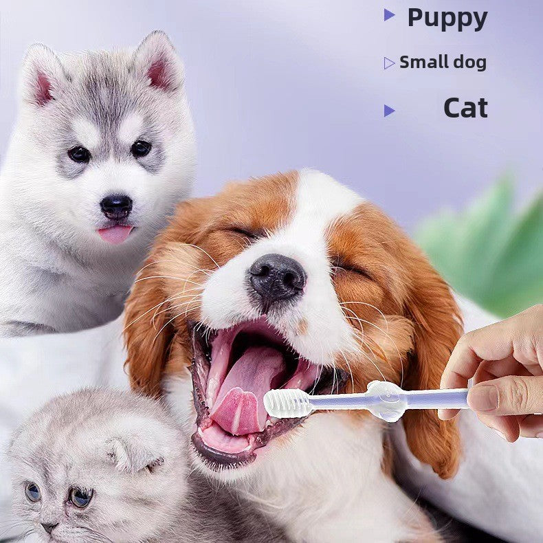 Pet Dental Care Toothbrush and Toothpaste Set