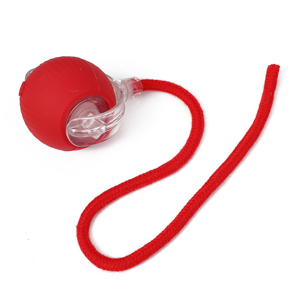 Interactive Pet Play Ball