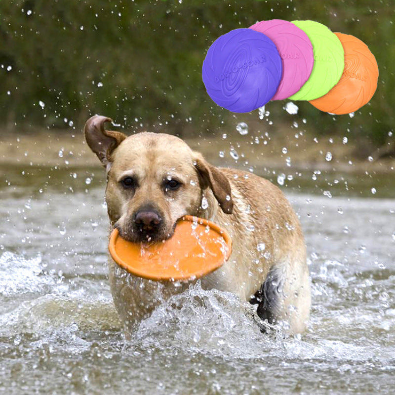 Pet Chew Frisbee